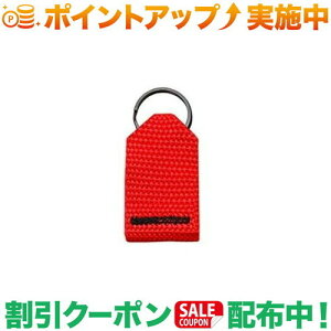 N[|zz(i`Xsbg)NATURAL SPIRIT Wbp[^u (bh)