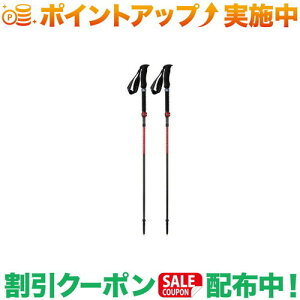 クーポン配布中★(エムエスアール)MSR ダイナロックアッセントポール (S)