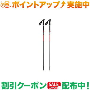 クーポン配布中★(エムエスアール)MSR ダイナロックアッセントポール (L)