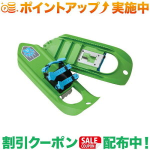 クーポン配布中★(エムエスアール)MSR タイカー (ディノグリーン)