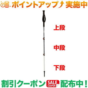 クーポン配布中★(エムエスアール)MSR MSR ダイナロックエクスプローラーポール 中段