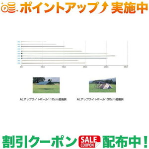 N[|zz(IK)ogawa ALAbvCg|[270cM 3029 |AEghA AEghApi AEghA[ pi AEghAObY Lv Lvpi