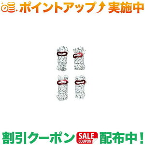 N[|zz(R[})Coleman KC[v3m