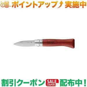 N[|zz(Isl)OPINEL ICX^[iCt No.09