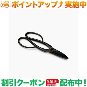 �N�[�|���z�z����(�x�A�{�[���Y���r���O)Barebones Living �A�[�e�B�V���� �V�A�[ L