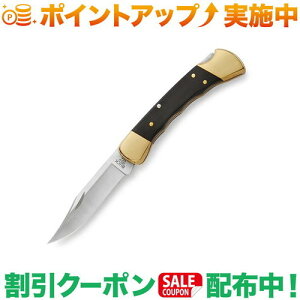 クーポン配布中★(バックナイフ)BUCK KNIVES 110FG フォールディングハンター