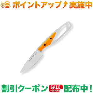 N[|zz(obNiCt)BUCK KNIVES #635 pbNCg PCv (IW)