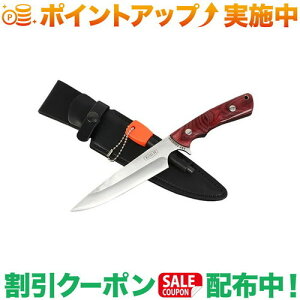 N[|zz(A&F)GCAhGt A&F ubVNtgiCt bh