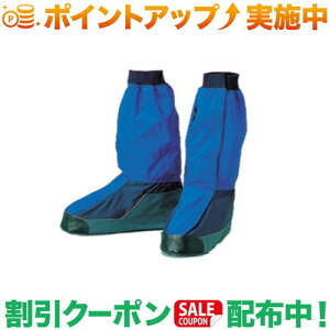 N[|zz(ACeg)ARAITENT SAebNXI[o[V[Y