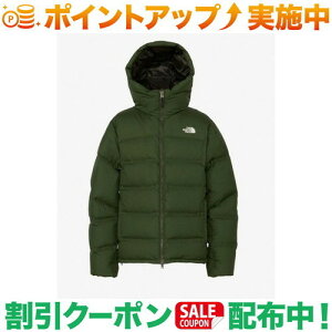N[|zz(UEm[XEtFCX)THE NORTH FACE rC[p[J (pCj[h) | jZbNX
