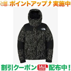 N[|zz(UEm[XEtFCX)THE NORTH FACE mxeB[ogCgWPbg (ubNc[o[N)