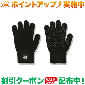 N[|zz(UEm[XEtFCX)THE NORTH FACE jbgO[u (ubN) | LbY