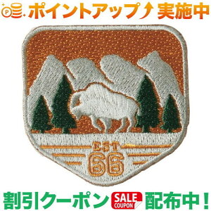 �N�[�|���z�z����(�U�E�m�[�X�E�t�F�C�X)THE NORTH FACE TNF CARE WAPPEN (�o�b�t�@��) | NN32231
