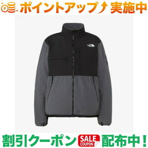 N[|zz(UEm[XEtFCX)THE NORTH FACE fiWPbg (~bNXO[) | Y
