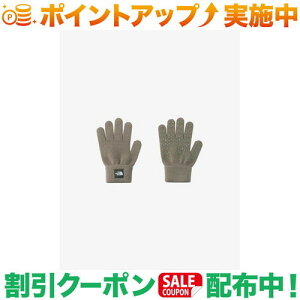 N[|zz(UEm[XEtFCX)THE NORTH FACE jbgO[u (}bV[2) | LbY