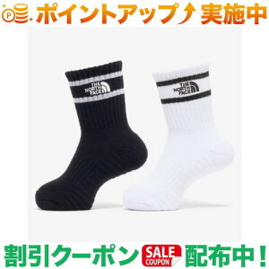N[|zz(UEm[XEtFCX)THE NORTH FACE TNF  2P N[ (TNFubN×TNFzCg)
