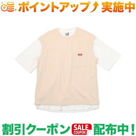 (チャムス)CHUMS Keystone Layard T-Shirt (Natural)