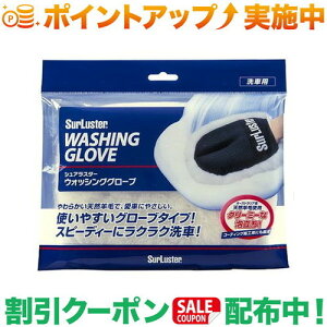 N[|zz(VAX^[)SurLuster EHbVO O[u