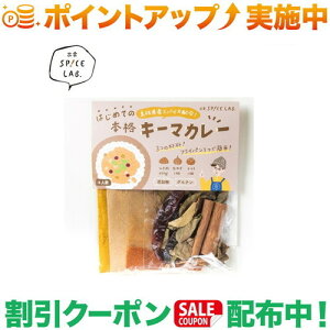 N[|zz(CYXpCX{)o_SPICE LAB. L[}J[Lbg | izumo o_ YXpCX