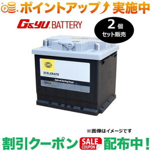 �N�[�|���z�z����(G&Yu) �y2�Z�b�g�̔��z HELLA XCELERATE �V���[�Y (���B��) 55066 ���k�C���A���ꌧ�̌l��l�ւ̔z���s��