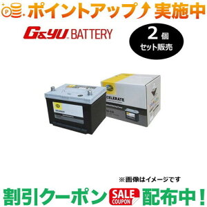 �N�[�|���z�z����(G&Yu) �y2�Z�b�g�̔��z HELLA XCELERATE �V���[�Y(�č���) 58-530 ���k�C���A���ꌧ�̌l��l�ւ̔z���s��