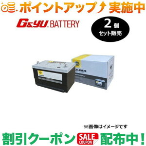 �N�[�|���z�z����(G&Yu) �y2�Z�b�g�̔��z HELLA XCELERATE �V���[�Y(�č���) 65-660 ���k�C���A���ꌧ�̌l��l�ւ̔z���s��
