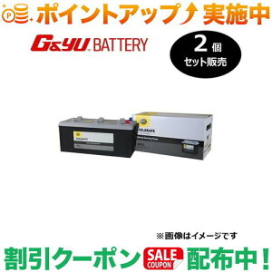 �N�[�|���z�z����(G&Yu) �y2�Z�b�g�̔��z HELLA XCELERATE �V���[�Y (���B��) 68032 ���k�C���A���ꌧ�̌l��l�ւ̔z���s��