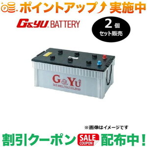 �N�[�|���z�z����(G&Yu) �y2�Z�b�g�̔��z PRO HEAVY-D�V���[�Y HD-210H52 (�t���L���b�v�^�C�v) ���k�C���A���ꌧ�̌l��l�ւ̔z���s��