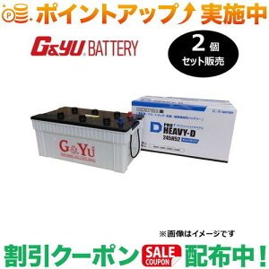 �N�[�|���z�z����(G&Yu) �y2�Z�b�g�̔��z PRO HEAVY-D�V���[�Y HD-245H52 (�t���L���b�v�^�C�v) ���k�C���A���ꌧ�̌l��l�ւ̔z���s��