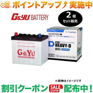 �N�[�|���z�z����(G&Yu) �y2�Z�b�g�̔��z PRO HEAVY-D�V���[�Y HD-D23L (�t���L���b�v�^�C�v) ���k�C���A���ꌧ�̌l��l�ւ̔z���s��