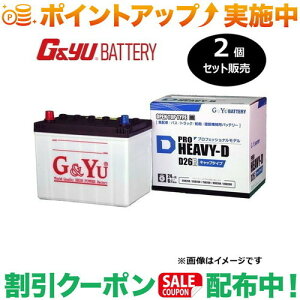 �N�[�|���z�z����(G&Yu) �y2�Z�b�g�̔��z PRO HEAVY-D�V���[�Y HD-D26R (�t���L���b�v�^�C�v) ���k�C���A���ꌧ�̌l��l�ւ̔z���s��