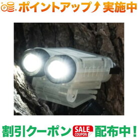 クーポン配布中★(5050WORKSHOP) MICROLight DUAL (GLOW IN THE DARK SKELTON)