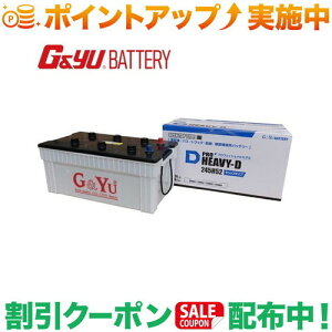 �N�[�|���z�z����(G&Yu) PRO HEAVY-D�V���[�Y HD-245H52 (�t���L���b�v�^�C�v) ���k�C���A���ꌧ�̌l��l�ւ̔z���s��