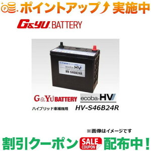 �N�[�|���z�z����(G&Yu) ecoba HV�V���[�Y AGM�^�C�v HV-S46B24R ���k�C���A���ꌧ�̌l��l�ւ̔z���s��