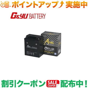 �N�[�|���z�z����(G&Yu) �o�C�N�pAXEL(�A�N�Z��)�V���[�Y ST12AL-A2 ���k�C���A���ꌧ�̌l��l�ւ̔z���s��