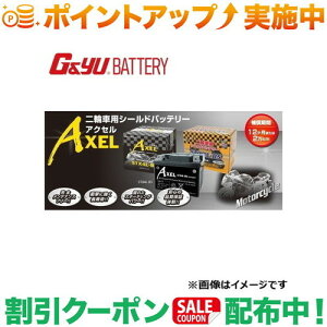 �N�[�|���z�z����(G&Yu) �o�C�N�pAXEL(�A�N�Z��)�V���[�Y STZ10S ���k�C���A���ꌧ�̌l��l�ւ̔z���s��