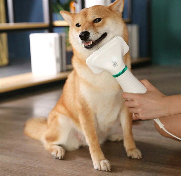 ご購入者様決定[未使用]ペット 犬猫 2way ドライヤーブラシ 白 動物 