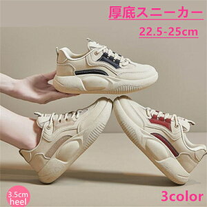 _CGbgXj[J[ fB[X JWAV[Y Xj[J[ Xb| O fB[X Xj[J[ 3.5cm lԍHw r L y ʋC K ~ t H