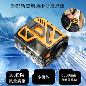 2025NŐVf@ ^ t@ @ É 啗 100iKʒ |[^u y gѐ@ USB[d Type-CΉ p GAR LEDfW^\ ȃGl ߓd AEghA 
