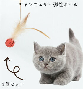 Lp {[ 3Zbg Ht˂ `LtFU[e{[ ybg VLC^NeBu{[ Hte̓{[ ybgLQ[