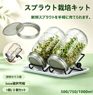 スプラウト栽培キット 500/750/1000ml 1個セット 2個セット 水耕栽培 ガラス瓶 メッシュ蓋 ステンレスス…