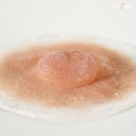 リアル乳首 乳首 シリコン ニプレス 付け乳首 ニプルス ニップル 乳がん サイズS 日本製 左右セット