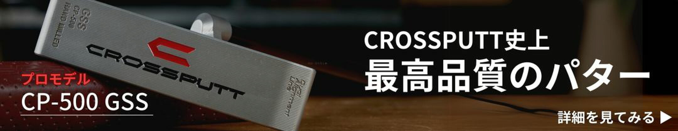CP-500 GSS
