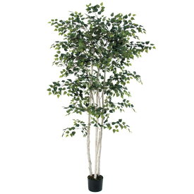 人工観葉植物 バーチツリー （ポット付き） グリーン 高さ180cm （P284-a50772) （代引き不可） インテリアグリーン フェイクグリーン