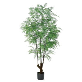 人工観葉植物 ファーン （ポット付き） グリーン 高さ195cm （P293-a50932) （代引き不可） インテリアグリーン フェイクグリーン