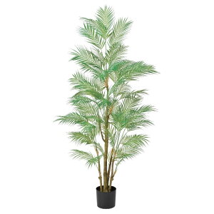 lHϗtA p[ i|bgtj O[ 190cm iP292-a50969) isj CeAO[ tFCNO[