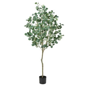 lHϗtA [J i|bgtj OCO[ 180cm iP282-a50992) isj CeAO[ tFCNO[