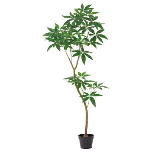 �l�H�ϗt�A�� �p�L�� �i�|�b�g�t���j �O���[�� ����150cm �iP275-a51111) �i������s�j �C���e���A�O���[�� �t�F�C�N�O���[��