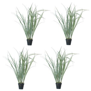 lHϗtA OX |bg 65i4j991050 I[igOX isj CeA tFCNO[  GRASS ip35j