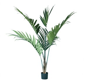 lHϗtA P`V |bg 152i1j992030 ؃|bg isj CeA tFCNO[  GARDEN PLANT ip19j